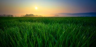 Viaggiare Green: la guida per un turismo sostenibile Viaggiare green per un turismo sostenibile