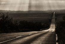 Escargot: il libro sul Cammino di Santiago di Daniele Errico Escargot Libro Sul Cammino Di Santiago