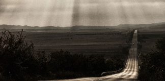 Escargot: il libro sul Cammino di Santiago di Daniele Errico Escargot Libro Sul Cammino Di Santiago