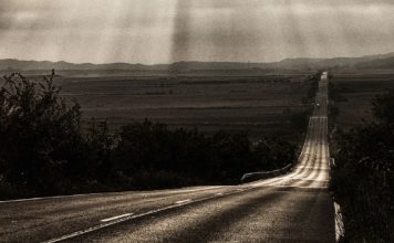 Escargot: il libro sul Cammino di Santiago di Daniele Errico Escargot Libro Sul Cammino Di Santiago