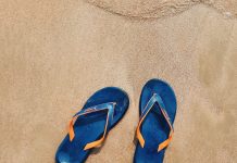 Vacanze in Romagna all’insegna del biologico Vacanze In Romagna