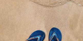 Vacanze in Romagna all’insegna del biologico Vacanze In Romagna