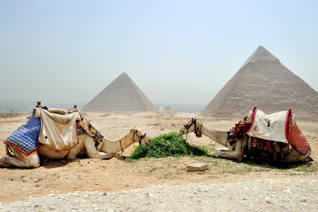 Viaggio In Egitto