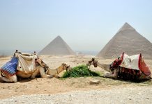 Viaggio in Egitto: scoprire un’antica e splendida civiltà nota in tutto il mondo Viaggio In Egitto