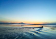 La riserva di Albufera: una paradiso a due passi da Valencia Dav