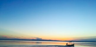 La riserva di Albufera: una paradiso a due passi da Valencia Dav