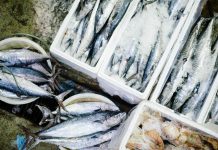 Noryangjin Fish market: il mercato del pesce di Seoul