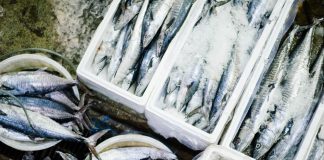 Andiamo insieme al Noryangjin Fish Market: il mercato del pesce di Seoul Noryangjin Fish market: il mercato del pesce di Seoul