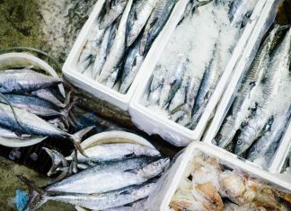 Andiamo insieme al Noryangjin Fish Market: il mercato del pesce di Seoul Noryangjin Fish market: il mercato del pesce di Seoul