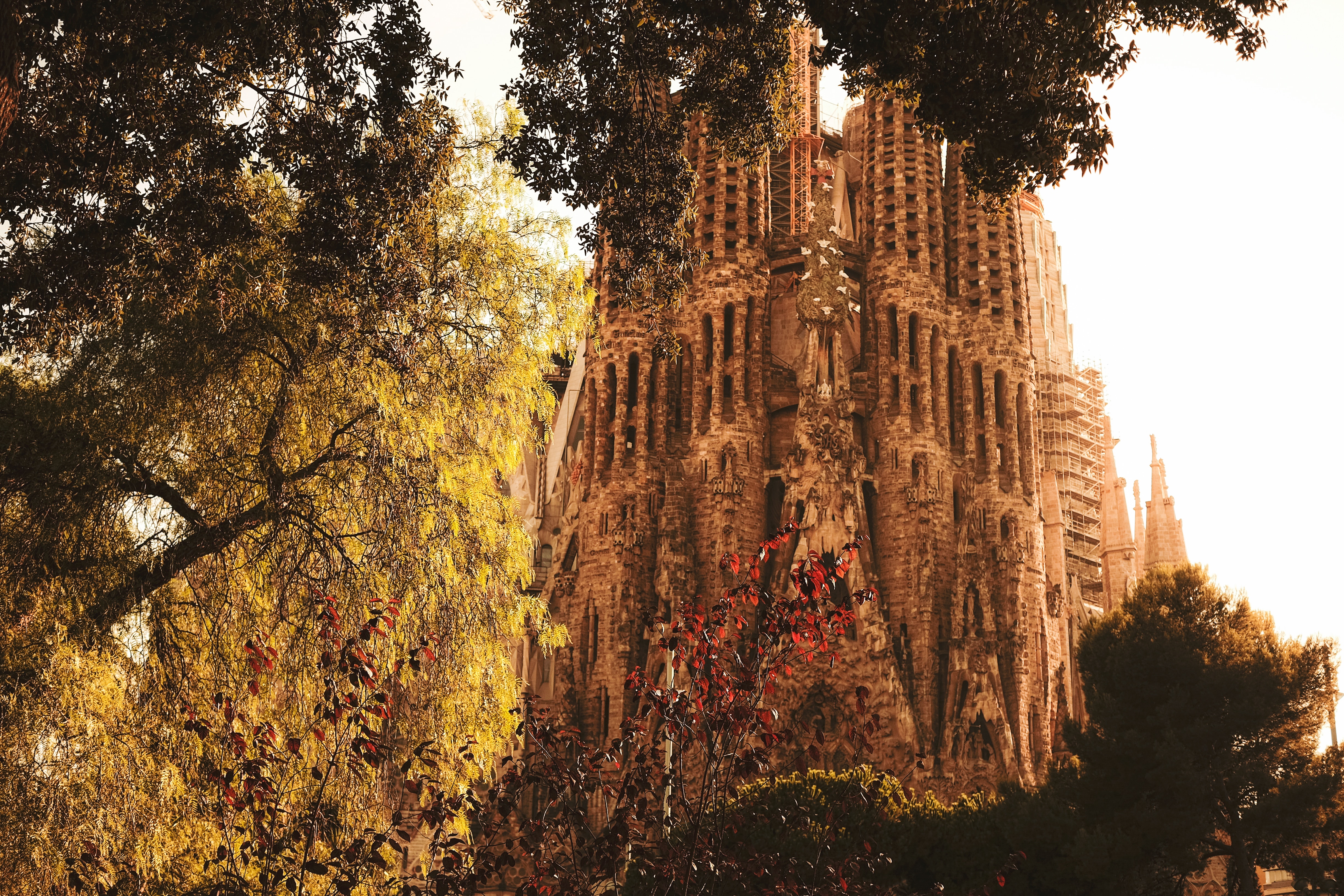 La Sagrada Familia è uno dei monumenti più interessanti pianificando un viaggio a Barcellona