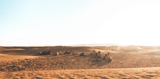 2 giorni nel deserto del Sahara del Marocco: la mia esperienza il Sahara del Marocco
