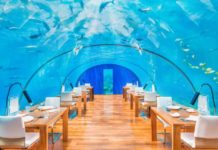 Sapori dal Mondo: i ristoranti più strani di sempre in Asia e Oceania Ithaa Undersea Restaurant 2