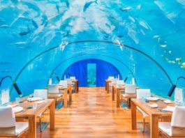 Sapori dal Mondo: i ristoranti più strani di sempre in Asia e Oceania Ithaa Undersea Restaurant 2