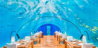 Sapori dal Mondo: i ristoranti più strani di sempre in Asia e Oceania Ithaa Undersea Restaurant 2